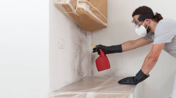 Professional Attic Mold Remediation technician working in Osseo, MN