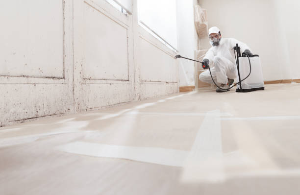 24/7 Emergency Attic Mold Remediation experts in Osseo, MN